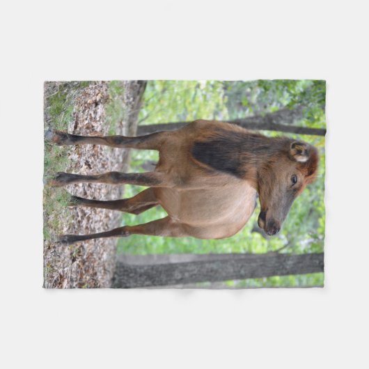 Kuh-Elche Fleecedecke (Vorderseite (Horizontal))