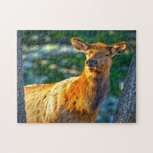 Kuh Elk Montana. Puzzle (Horizontal)