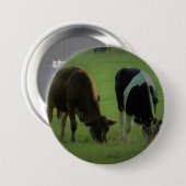Kuh-Foto-Rund-Abzeichen Button (Vorne & Hinten)