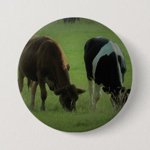 Kuh-Foto-Rund-Abzeichen Button