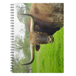Kuh-Fotografienotizbuch Austins Texas Longhorn Notizblock