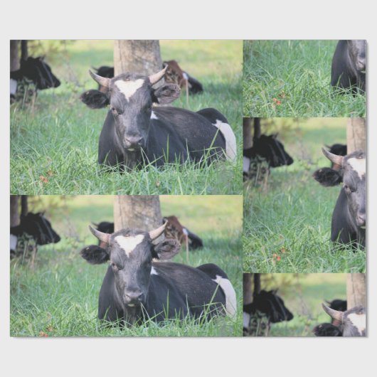 Kuh Geschenkpapier (Flach)