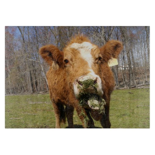 Kuh-Glasschneiden-Brett Schneidebrett (Vorderseite)