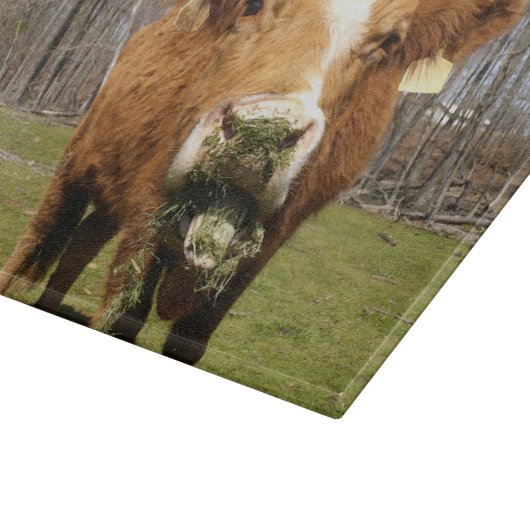 Kuh-Glasschneiden-Brett Schneidebrett (Ecke)