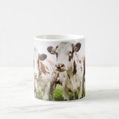 Kuh-Herden-Gruppen-Foto-Tasse Kaffeetasse (Mittel)