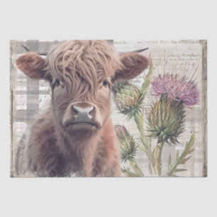 Kuh Highland Scotland Thistle Watercolor Seidenpapier