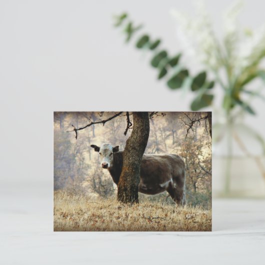 Kuh hinter Baum Postkarte (Stehend Vorderseite)