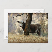 Kuh hinter Baum Postkarte (Vorne/Hinten)