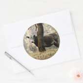 Kuh hinter Baum Runder Aufkleber (Umschlag)