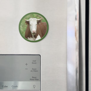 Kuh im Gras Cameo Magnet