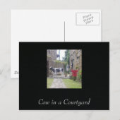 Kuh im Hof Postkarte (Vorne/Hinten)