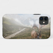 Kuh im Tal - iPhone 5 Fall Case-Mate iPhone Hülle (Rückseite (Horizontal))