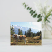 Kuh in den österreichischen Alpen Postkarte (Stehend Vorderseite)
