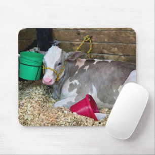 Kuh in einem Stallgehege mit Eimern Mousepad