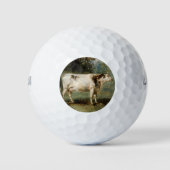 Kuh in einer ländlichen Landschaft (Zuchttier) Golfball (Vorderseite)