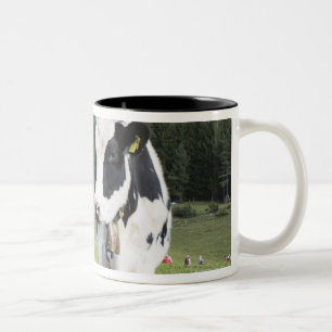 Kuh in einer Wiese, Fie Allo Sciliar, Alt die Zweifarbige Tasse