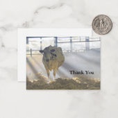 Kuh in Nebel Danke Karte (Vorderseite/Rückseite Beispiel)