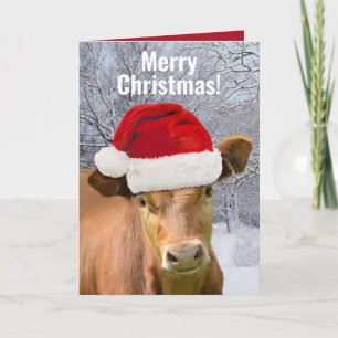 Kuh in Santa-Mütze - Frohe Weihnachten, glückliche Feiertagskarte