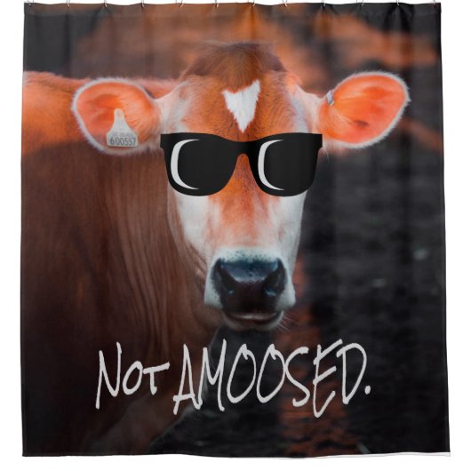 Kuh in Sonnenbrille nicht a MOOsed Niedlich Funny Duschvorhang (Vorderseite)