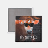 Kuh in Sonnenbrille nicht a MOOsed Niedlich Funny Magnet (Vorderseite/Rückseite)