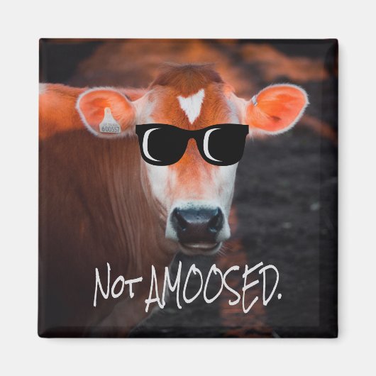 Kuh in Sonnenbrille nicht a MOOsed Niedlich Funny Magnet (Vorne)