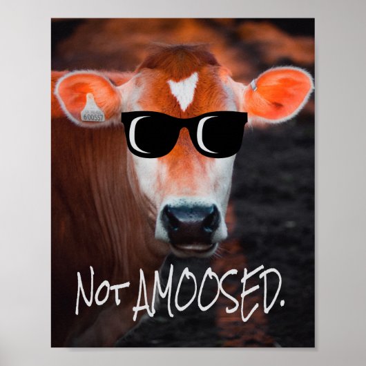 Kuh in Sonnenbrille nicht a MOOsed Niedlich Funny Poster (Vorne)