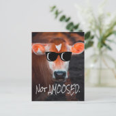Kuh in Sonnenbrille nicht a MOOsed Niedlich Funny Postkarte (Stehend Vorderseite)