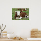 Kuh & Kalb Grüne Weide Kunst, Dichtung und Musik Poster (Küche)