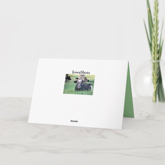 Kuh Karte (Rückseite)