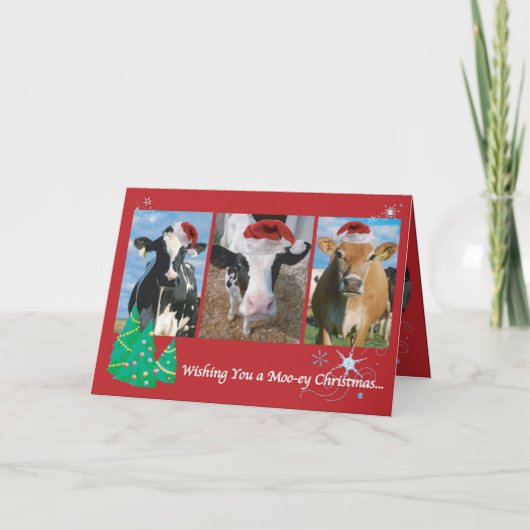 Kuh/Katze Weihnachtskarte 1,2 Feiertagskarte (Vorderseite)