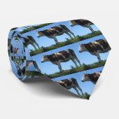 Kuh Krawatte (Gerollt)