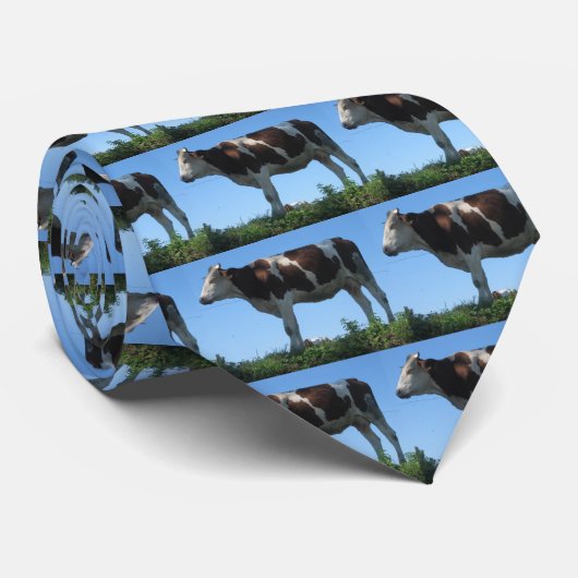 Kuh Krawatte (Gerollt)