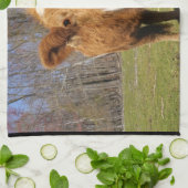 Kuh Küchentuch (Gefaltet)