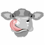 Kuh lecken Nase Fotoskulptur Schlüsselanhänger<br><div class="desc">Sie können dieses Design auf andere Zazzle Produkte übertragen. Sie können auf ANDERE KLICKEN, um Details wie die Hintergrundfarbe oder den Text hinzuzufügen, einfach zu löschen oder zu ändern. Die Designs sind in hochauflösender Vektorgrafik für einen beruflichen Druck gefertigt. Danke, dass du meine Entwürfe ausgewählt hast und Pedro Vale bei...</div>