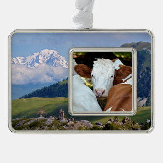 Kuh mit einem Ring in den Nasenlöchern Rahmen-Ornament Silber