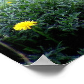 Kuh mit großen Hörnern schöne Naturlandschaft Poster (Ecke)