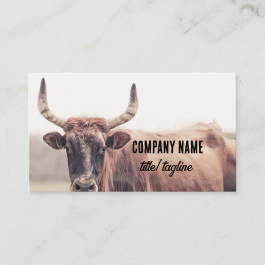Kuh mit Hörnern Landtierfoto Visitenkarte (Vorderseite)