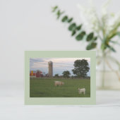 Kuh mit Kalbsfarm Postkarte (Stehend Vorderseite)