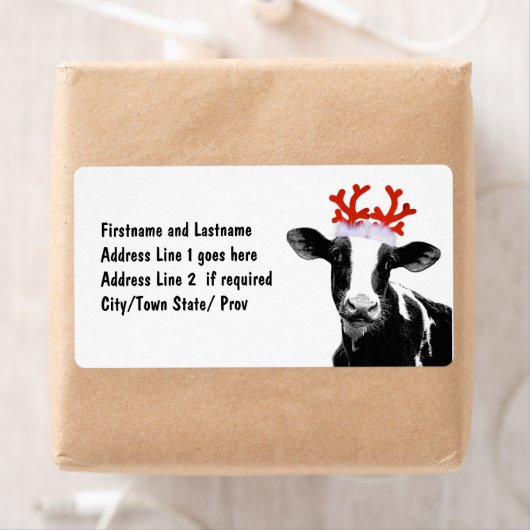 Kuh mit Rentierfäule (Insitu)