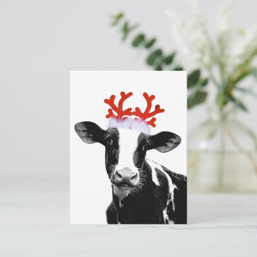 Kuh mit Rentierfäule Feiertagspostkarte (Stehend Vorderseite)