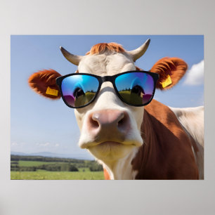 Kuh mit Sonnenbrille Poster