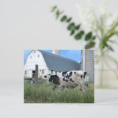 Kuh mit Stall Postkarte (Stehend Vorderseite)