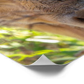 Kuh mit Zungenstich ausdrucken Poster (Ecke)