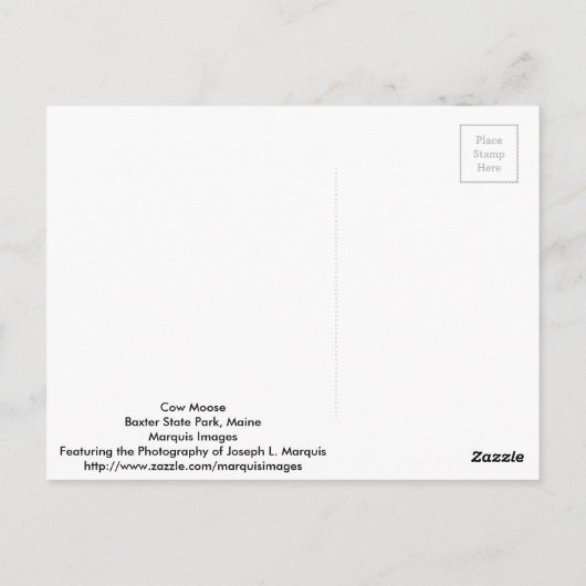 Kuh Moose Postkarte (Rückseite)