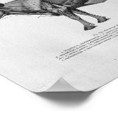 Kuh Muskelanatomie Vintage Druckausgabe Poster (Ecke)