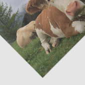 Kuh Nah-Up, Teil 5: Nun, das ist das Leben!! Seidenpapier (Ausschnitt)