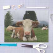 Kuh Nah-Up, Teil 5: Nun, das ist das Leben!! Seidenpapier (Handwerk)