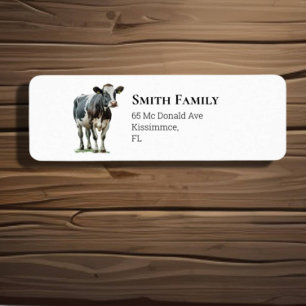 Kuh Niedlich Schwarz und Weiß