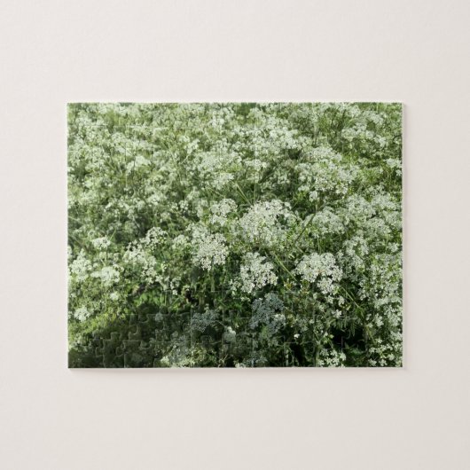 Kuh Parsley Weiße Blume Natur Puzzle (Horizontal)