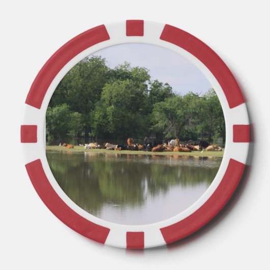 Kuh Pokerchips (Vorderseite)